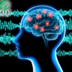 Fundación Tesãi conmemoró la Semana Nacional de la Epilepsia