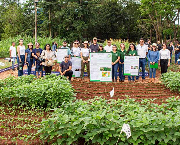 Estudiantes de Agronomía de la UPE presentan nuevas variedades de mandioca y poroto en trabajo de campo