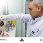 Fundación Tesãi recuerda que donar sangre es un acto de amor