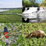 Itaipú conmemora 41 años de creación de las reservas Tatí Yupí, Itabo, Limoy y del Refugio Biológico Mbaracayú