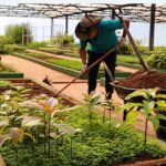 Vivero de Tekotopa Centro Ambiental de Itaipú produjo más de 110 mil plantines en agosto