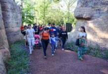 Más de 6.000 personas visitaron el Sendero del Jaguarete de Itaipú en octubre