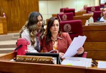 Solicitan al Ministerio del Interior datos acerca de la dotación policial asignada al Alto Paraná