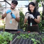 Universitarios se capacitan en conservación de especies nativas ornamentales en Itaipú