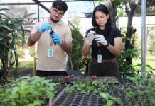 Universitarios se capacitan en conservación de especies nativas ornamentales en Itaipú