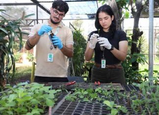 Universitarios se capacitan en conservación de especies nativas ornamentales en Itaipú