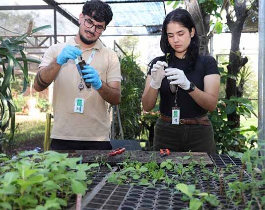 Universitarios se capacitan en conservación de especies nativas ornamentales en Itaipú