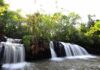 Itaipú integra la Red Mundial de Reservas de Biosfera de la UNESCO con ocho áreas protegidas