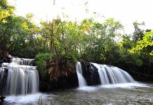 Itaipú integra la Red Mundial de Reservas de Biosfera de la UNESCO con ocho áreas protegidas