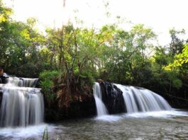 Itaipú integra la Red Mundial de Reservas de Biosfera de la UNESCO con ocho áreas protegidas