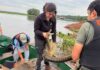 Guardaparques y técnicos de Itaipú rescatan un ejemplar de mbói jagua en Canindeyú