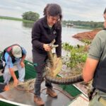 Guardaparques y técnicos de Itaipú rescatan un ejemplar de mbói jagua en Canindeyú