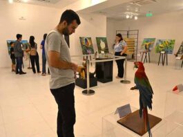 Acervo biológico del Museo de Itaipú Tierra Guaraní obtiene habilitación del MADES
