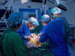 Fundación Tesãi: Sumamos logros históricos en el “Día Nacional del Trasplante”