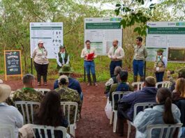 Senado declara de interés nacional la Red Paraguaya de Restauración de Ecosistemas que impulsa Itaipú