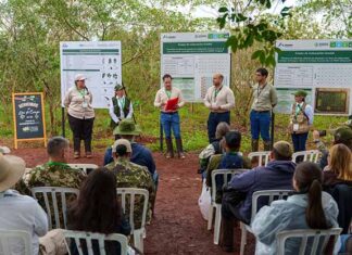 Senado declara de interés nacional la Red Paraguaya de Restauración de Ecosistemas que impulsa Itaipú