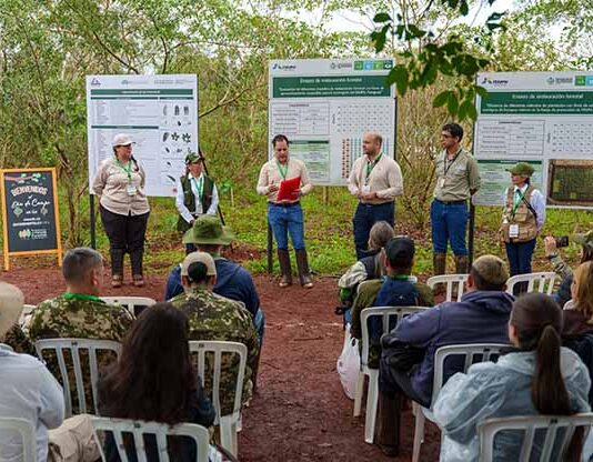 Senado declara de interés nacional la Red Paraguaya de Restauración de Ecosistemas que impulsa Itaipú