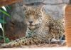 Tekotopa celebra su primer aniversario con logros positivos en la preservación de la biodiversidad